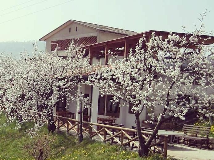 Agriturismo Al Ciliegio Villa Marostica Bagian luar foto